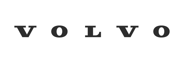 Automotive manufacturer case logo